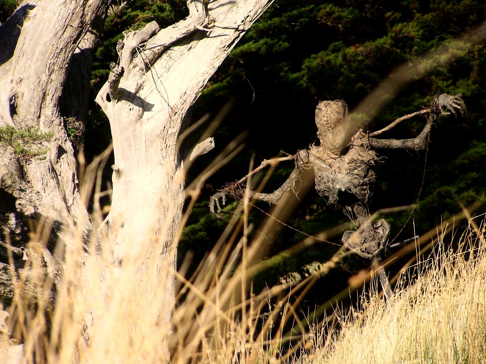 жуткое пугало, the house of marrow, Теодор Холмстэд-Скотт Theodore Holmstead-Scott