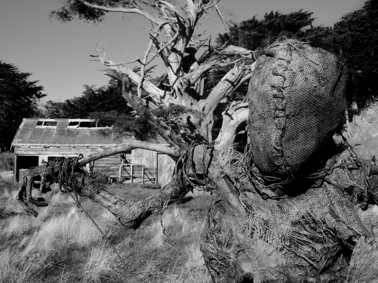 жуткое пугало, the house of marrow, Теодор Холмстэд-Скотт Theodore Holmstead-Scott