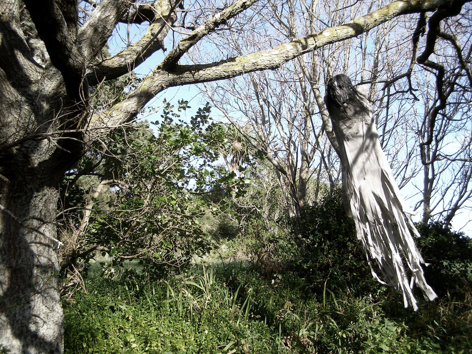 жуткое пугало, the house of marrow, Теодор Холмстэд-Скотт Theodore Holmstead-Scott