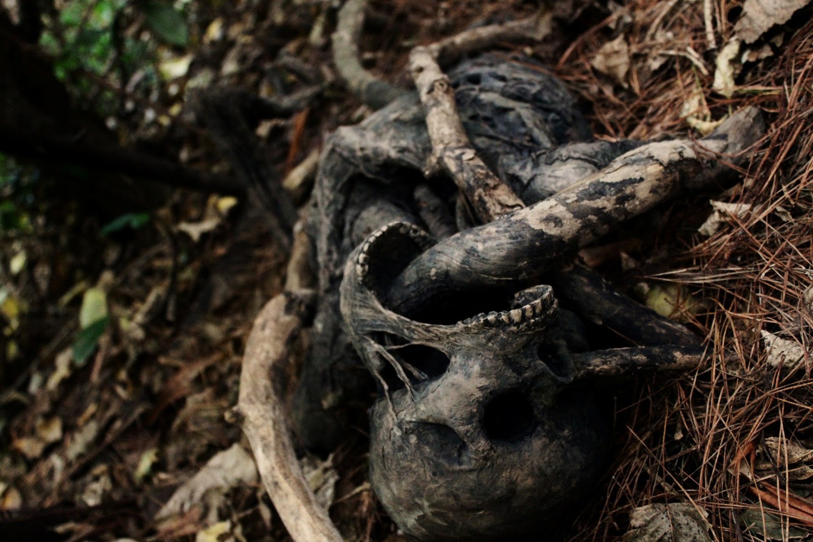 жуткое пугало, the house of marrow, Теодор Холмстэд-Скотт Theodore Holmstead-Scott