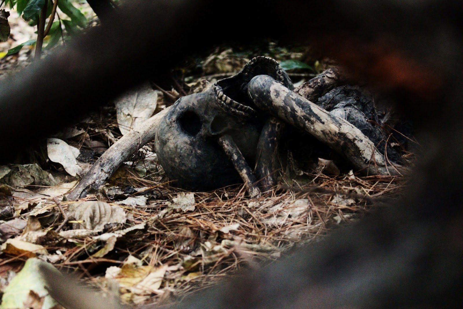 жуткое пугало, the house of marrow, Теодор Холмстэд-Скотт Theodore Holmstead-Scott