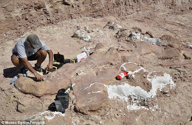 самый большой динозавр, останки динозавра, 77 тонн