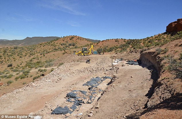 самый большой динозавр, останки динозавра, 77 тонн