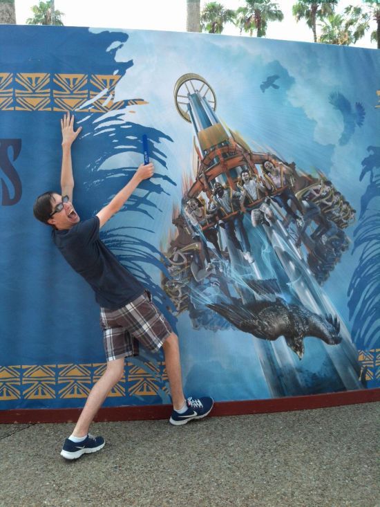 страшный аттракцион, Ярость Сокола,  Falcon's Fury,