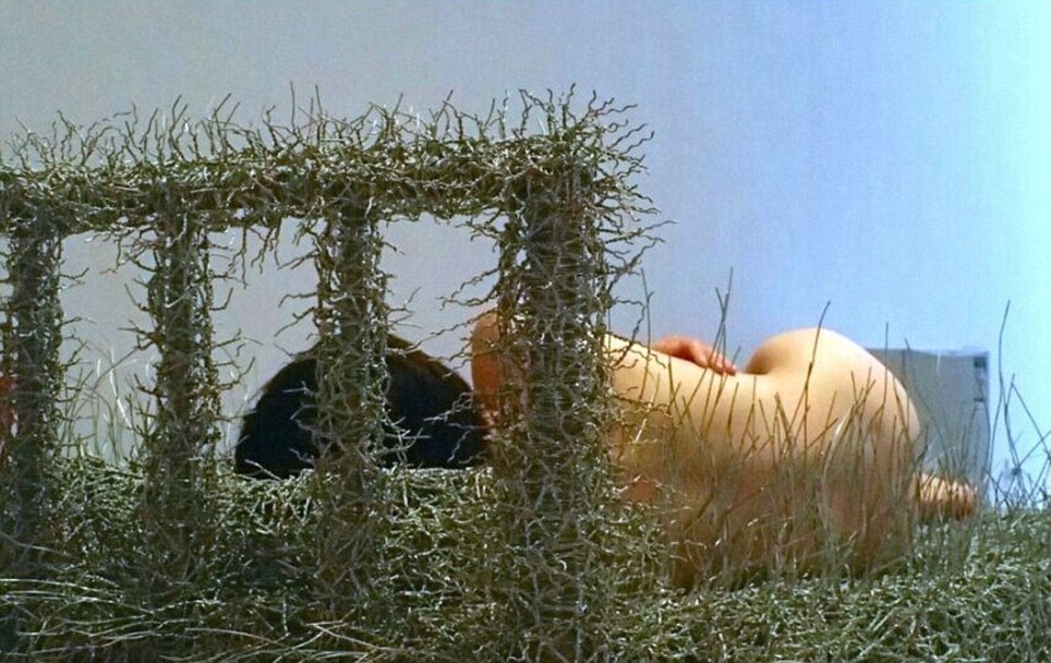 Zhou Jie bed iron 36 days, Чжоу Цзе 36 дней, кровать из железных прутьев арт-проект