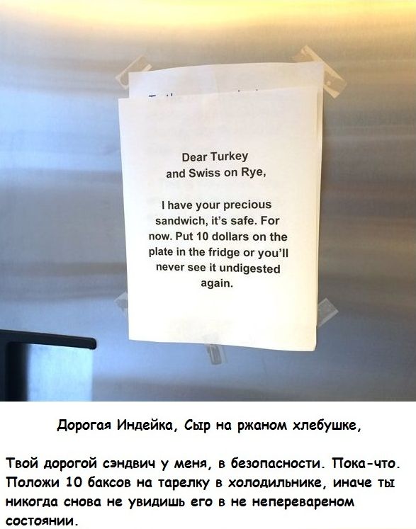 офисная переписка сэндвич, переписка офис на холодильнике, украденный сэндвич, офисные страсти