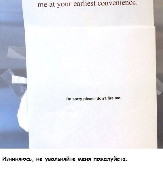 офисная переписка сэндвич, переписка офис на холодильнике, украденный сэндвич, офисные страсти