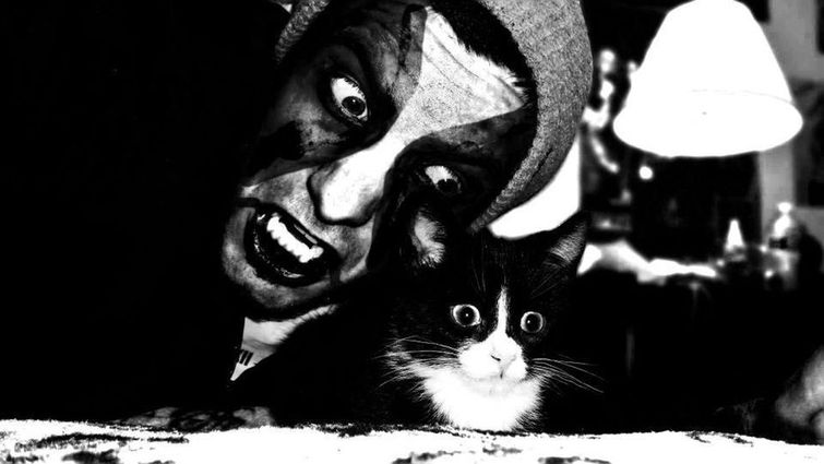 металлические коты, коты и металлисты, лександра Крокетт, Alexandra Crocket