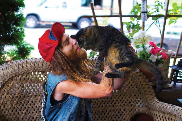 металлические коты, коты и металлисты, лександра Крокетт, Alexandra Crocket