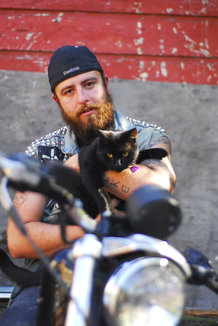 металлические коты, коты и металлисты, лександра Крокетт, Alexandra Crocket