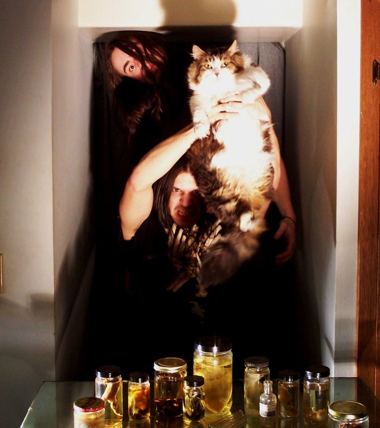 металлические коты, коты и металлисты, лександра Крокетт, Alexandra Crocket