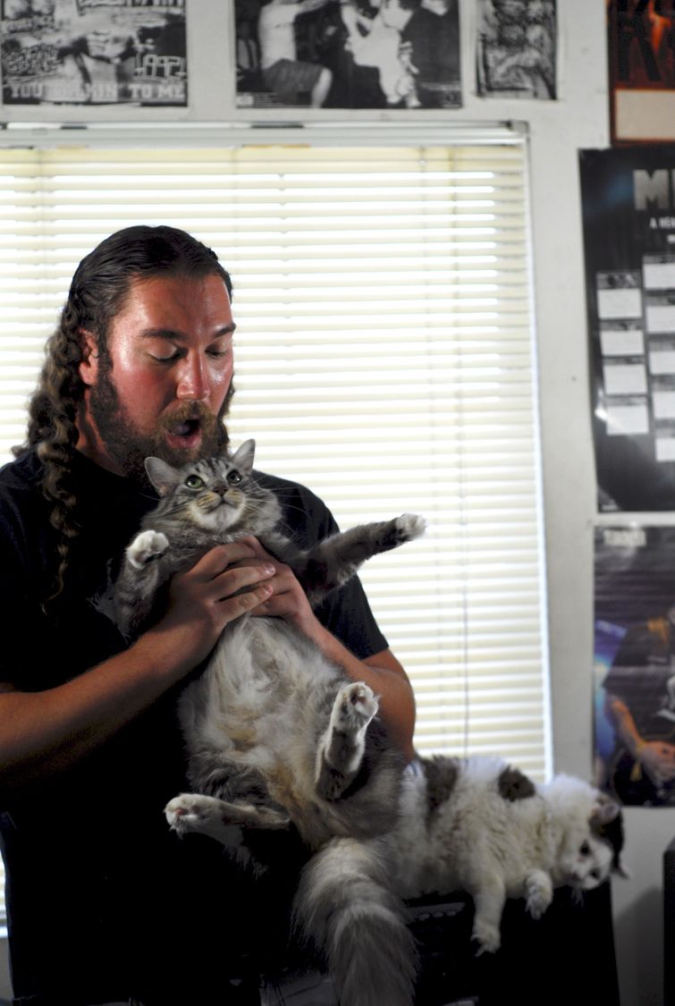 металлические коты, коты и металлисты, лександра Крокетт, Alexandra Crocket