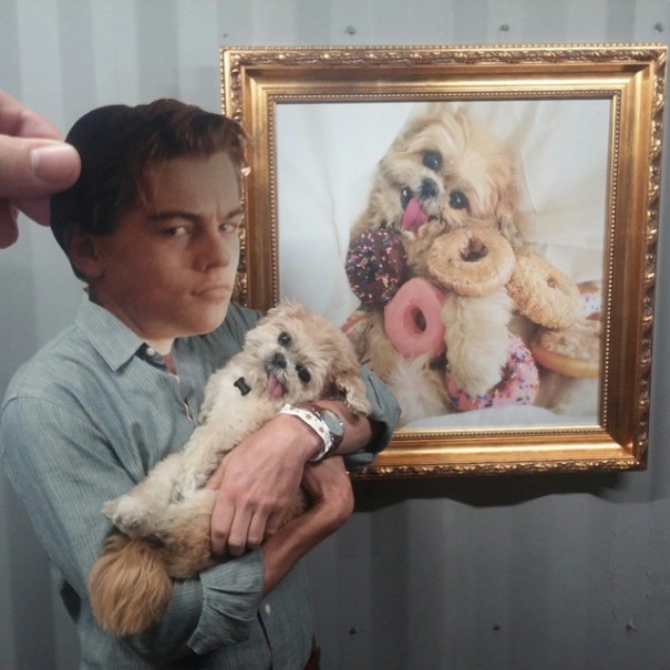 Мой день с Лео, my day with leo, Джоел Стронг, Joel Strong