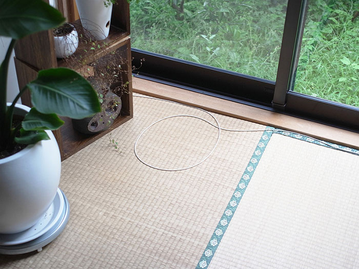 ловушка для кота, изолента кот ловушка