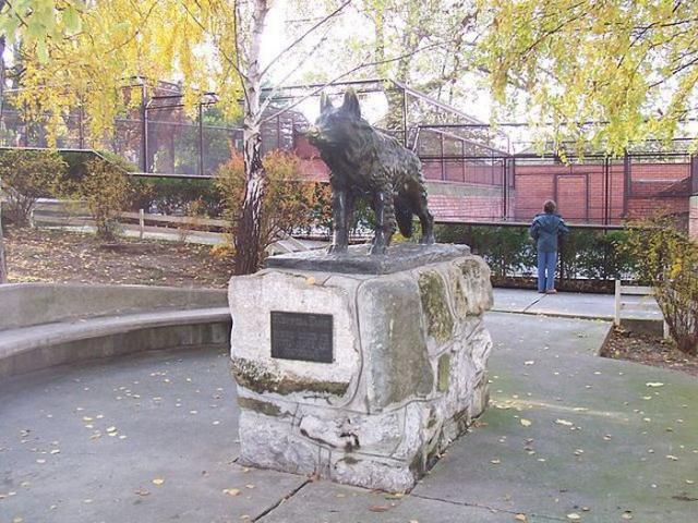 Альманах познавательных фактов обо всём на свете факты, познавательное, жизнь, наука