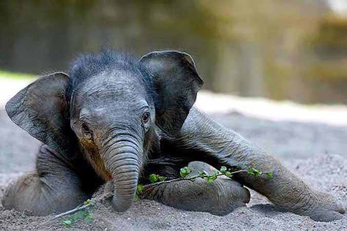 Альманах, познавательное, факты, спорим, вы не знали