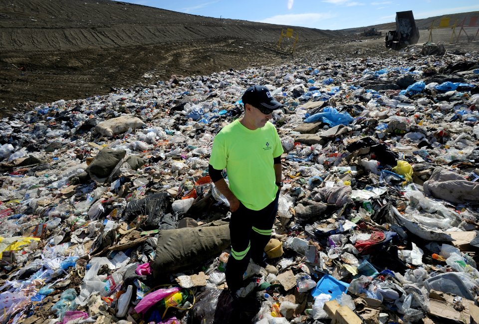 Альманах, познавательное, факты, спорим, вы не знали