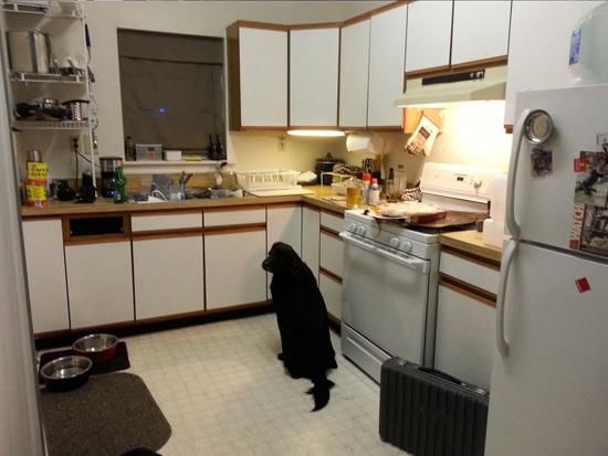 Надписи, которым нельзя верить, на заборе много чего написано, смешная подборка