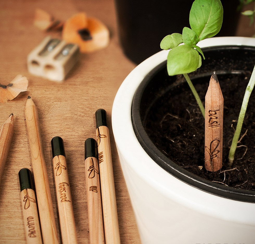 карандаши Sprout, растущие карандаши, вырастить растение из карандаша, видео