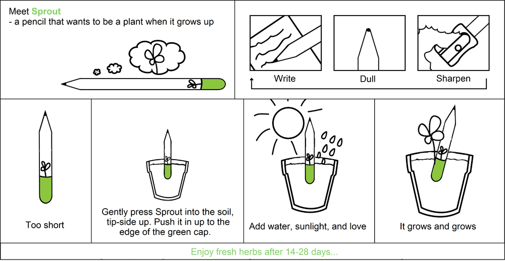 карандаши Sprout, растущие карандаши, вырастить растение из карандаша, видео
