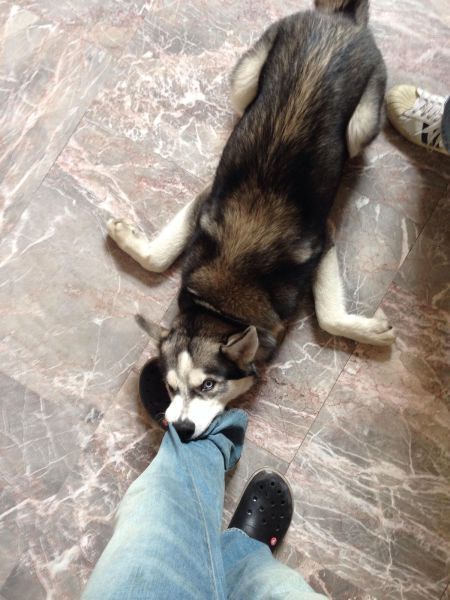 Позитив, юмор, смешные фотографии,прикол