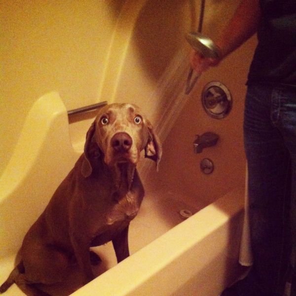 Позитив, юмор, смешные фотографии,прикол