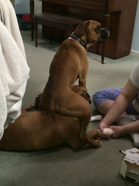 Позитив, юмор, смешные фотографии,прикол