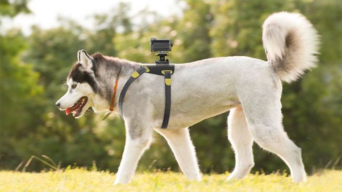 гаджеты, приспособления, дизайн, штуки