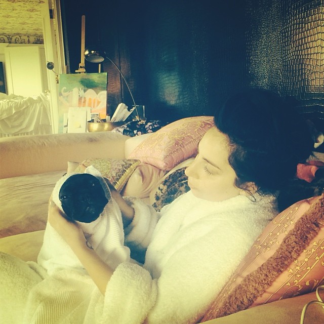 Защитники прав животных обвинили Леди Гагу в издевательствах над её собакой, собака леди гага, украшения Asia  