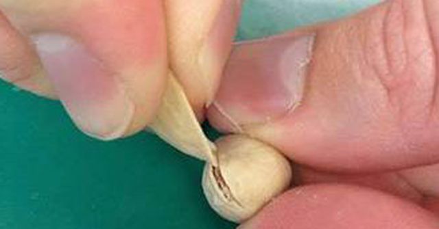 Простые и гениальные советы, которые редко кому приходят в голову Простые полезные советы, гениальные идеи, полезные лайфхаки