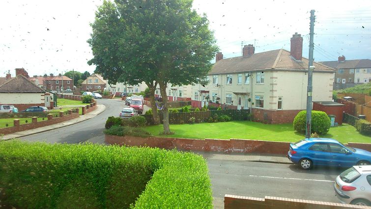 пчелы захватили дом, заложник пчел, пчелу вокруг дома, рой пчел возле дома