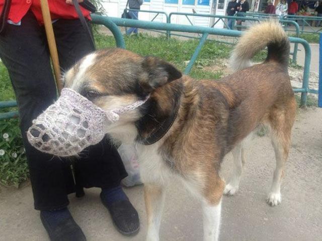 это россия детка, умом россию не понять, тем временем в России