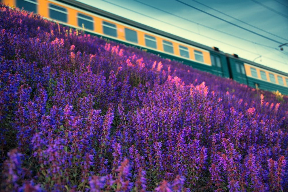 Лучшие фотографии дикой природы от National Geographic за июнь 2014 National Geographic за июнь 2014, лучшие фотографии National Geographic