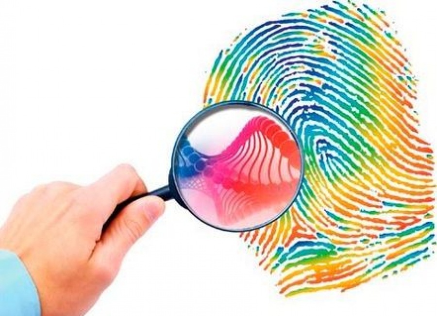 10 важных вопросов о человеческом организме, на которые мы до сих пор не знаем ответа человеческое тело, вопросы о человеческом теле