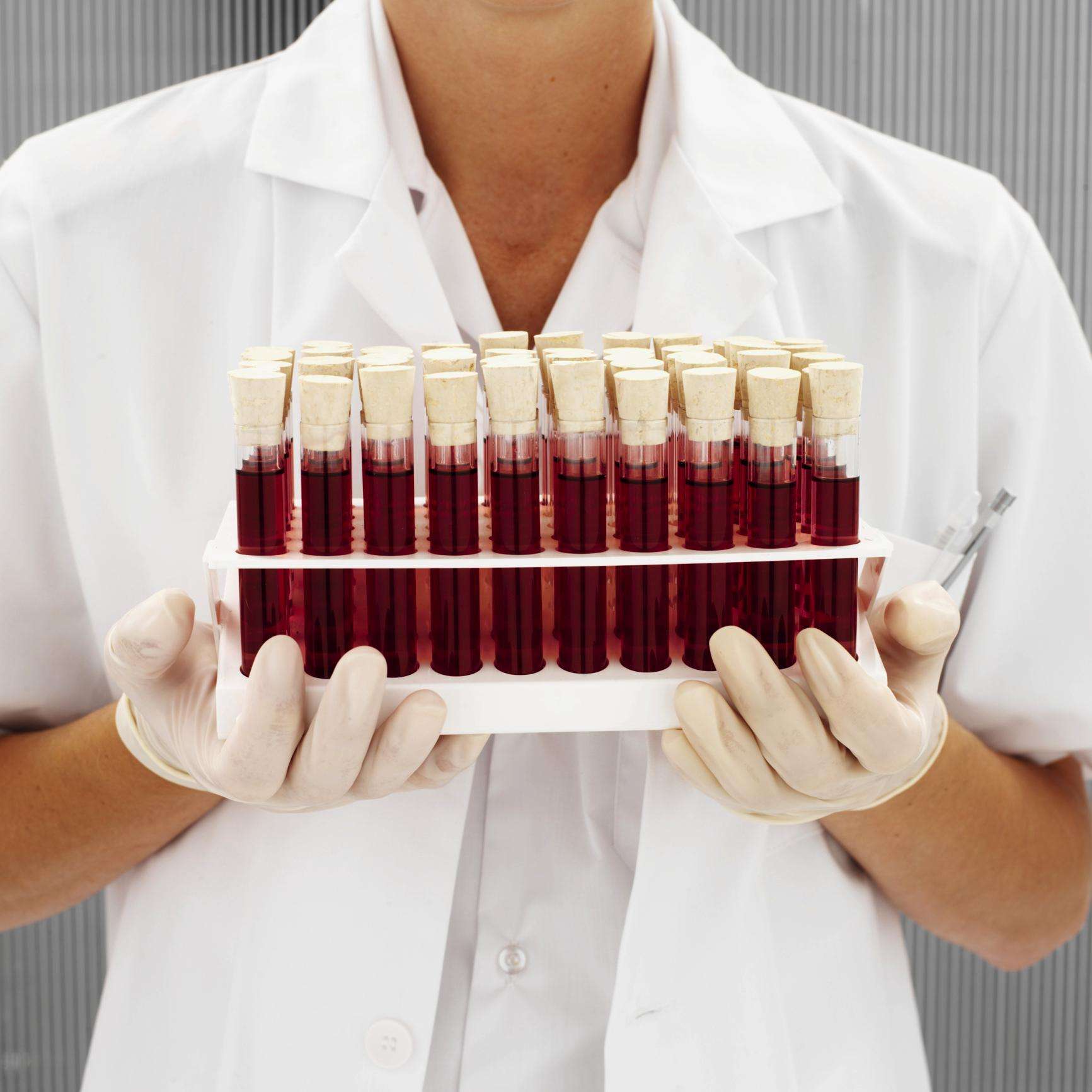 10 важных вопросов о человеческом организме, на которые мы до сих пор не знаем ответа человеческое тело, вопросы о человеческом теле