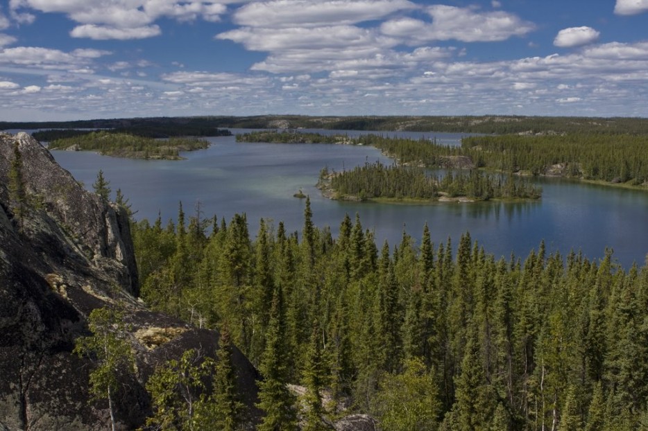 удивительные природные места, природа с наступлением темноты, светящиеся грибы, светящийся фитопланктон