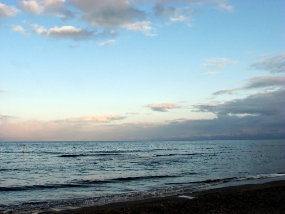 удивительные природные места, природа с наступлением темноты, светящиеся грибы, светящийся фитопланктон