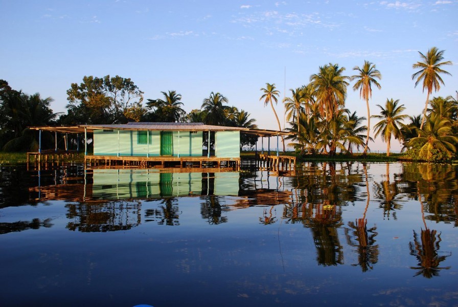 удивительные природные места, природа с наступлением темноты, светящиеся грибы, светящийся фитопланктон