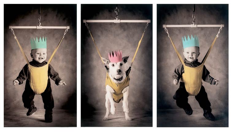 собака в смешных костюмах Рождество, Рождественские собаки, Christmas Dogs, Питер Торп, Peter Thorpe