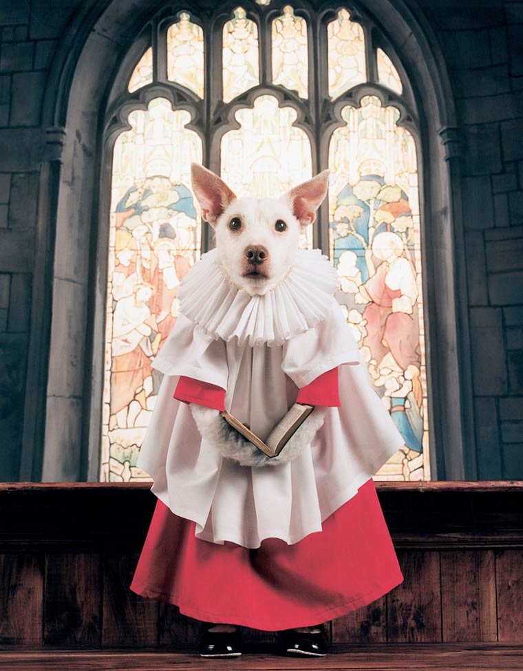 собака в смешных костюмах Рождество, Рождественские собаки, Christmas Dogs, Питер Торп, Peter Thorpe