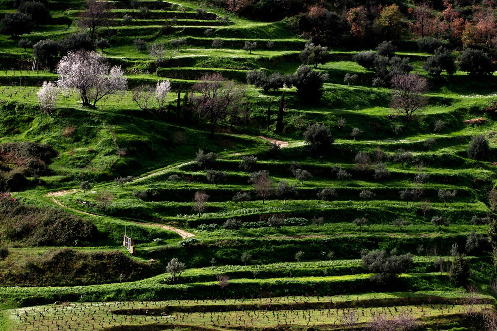 весна, весна в разных странах, первые весенние дни