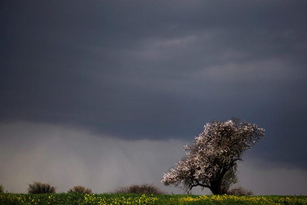 весна, весна в разных странах, первые весенние дни