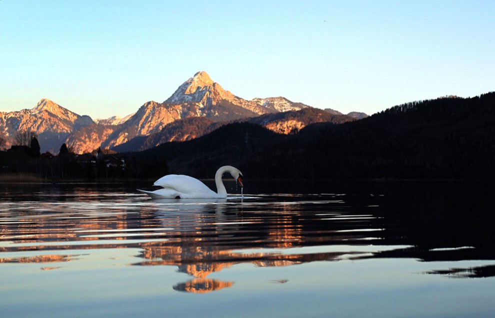 весна, весна в разных странах, первые весенние дни