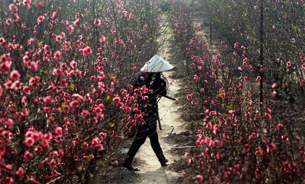 весна, весна в разных странах, первые весенние дни