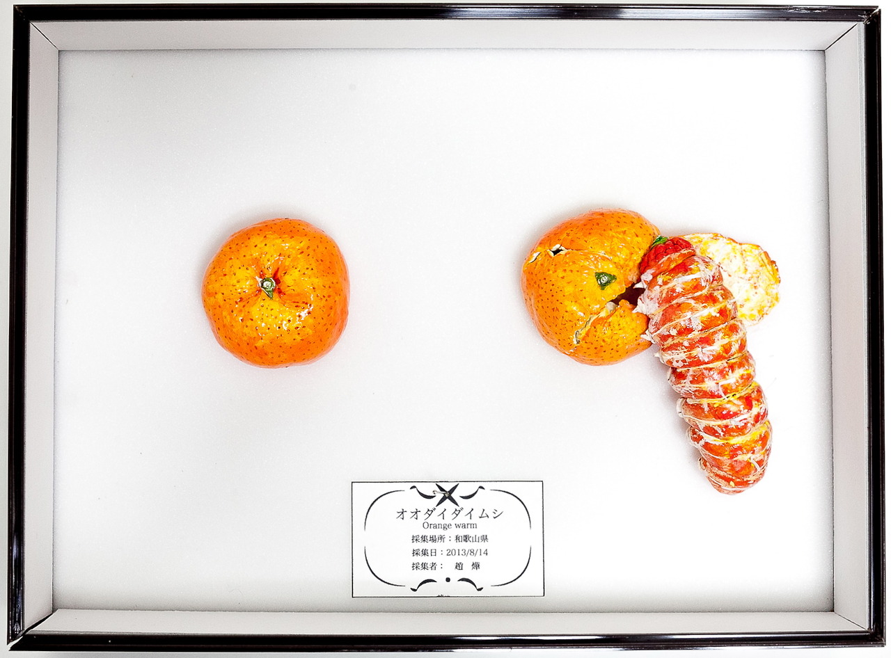 Это не то, чем кажется, акриловые краски, Хикару Чо, Hikaru Cho, still life, раскрашенные продукты