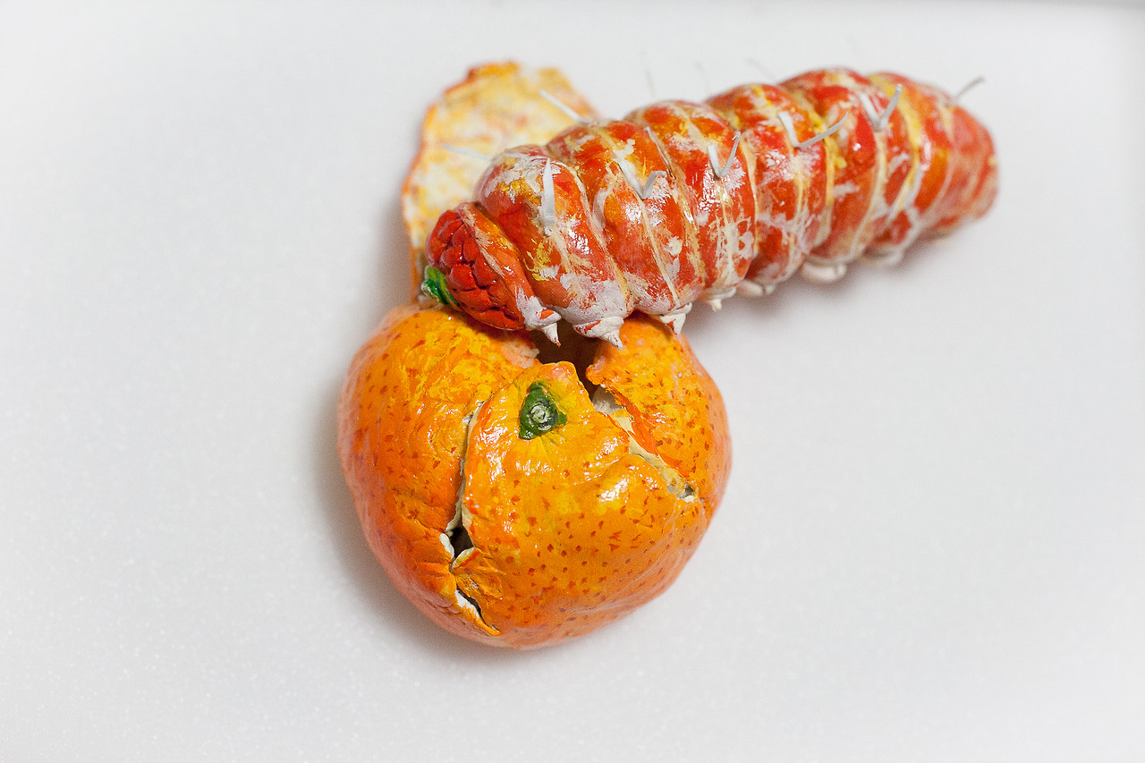 Это не то, чем кажется, акриловые краски, Хикару Чо, Hikaru Cho, still life, раскрашенные продукты