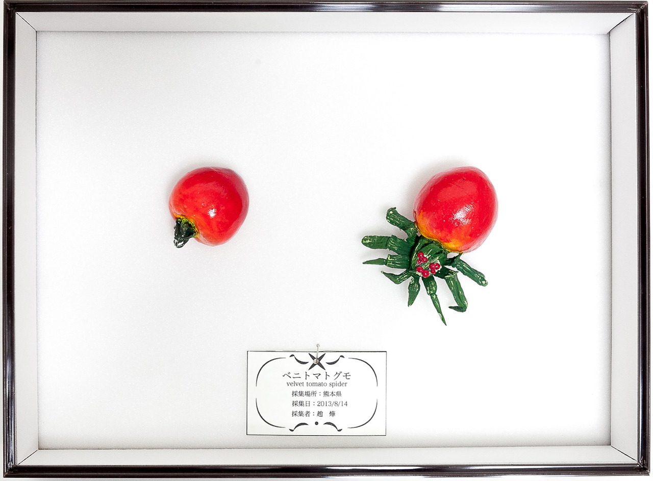 Это не то, чем кажется, акриловые краски, Хикару Чо, Hikaru Cho, still life, раскрашенные продукты