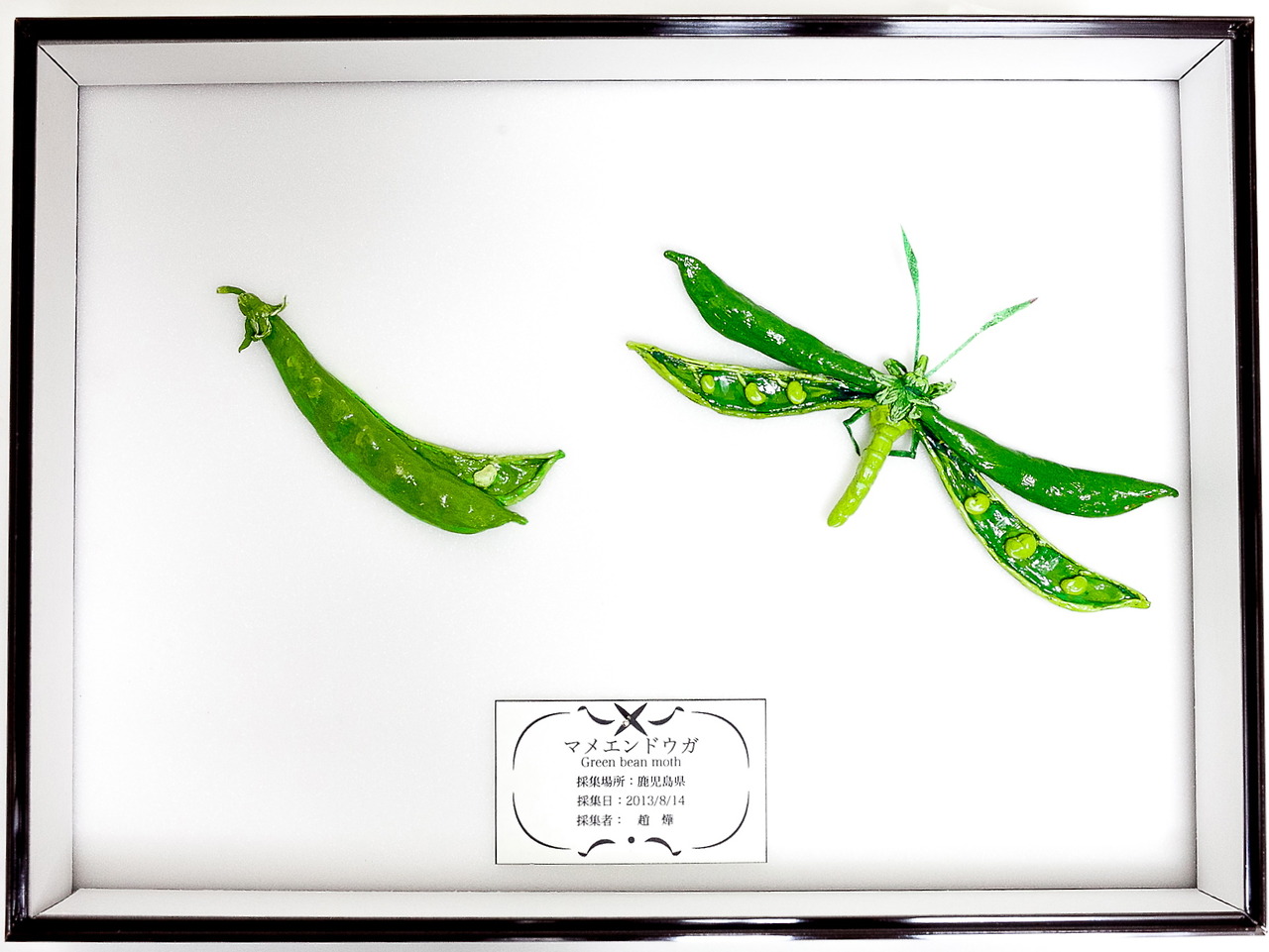 Это не то, чем кажется, акриловые краски, Хикару Чо, Hikaru Cho, still life, раскрашенные продукты