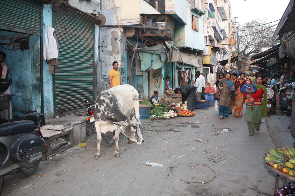 индийские трущобы, обратная сторона Индии, условия жизни Индия