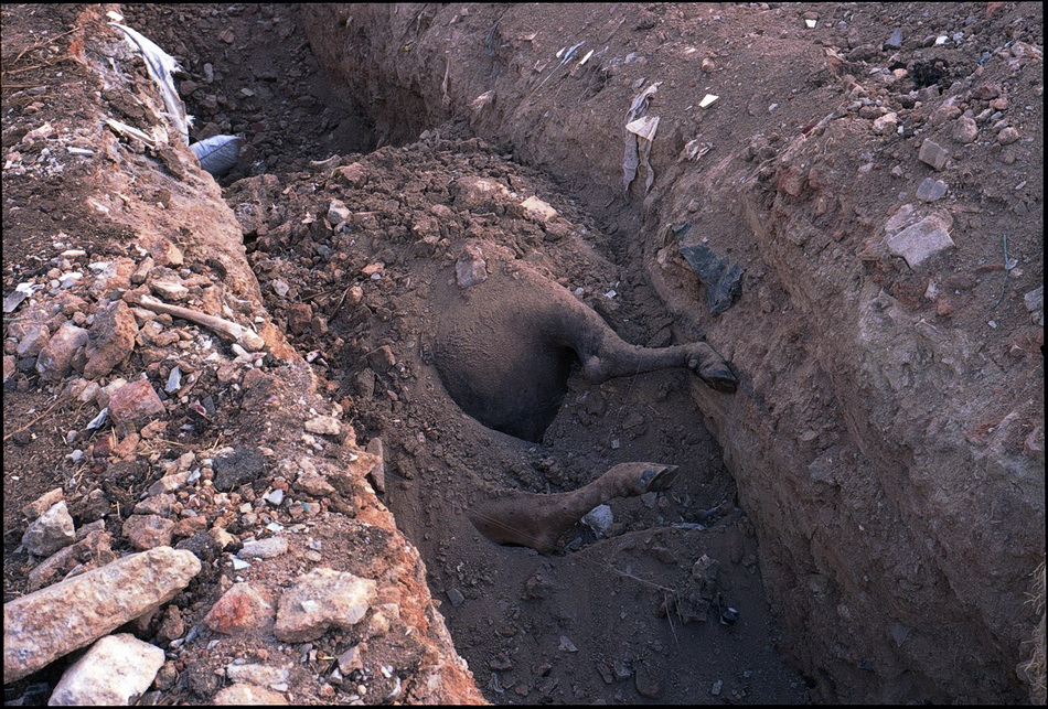 индийские трущобы, обратная сторона Индии, условия жизни Индия